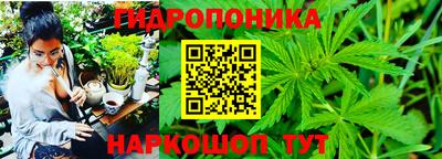 каннабис Канаш